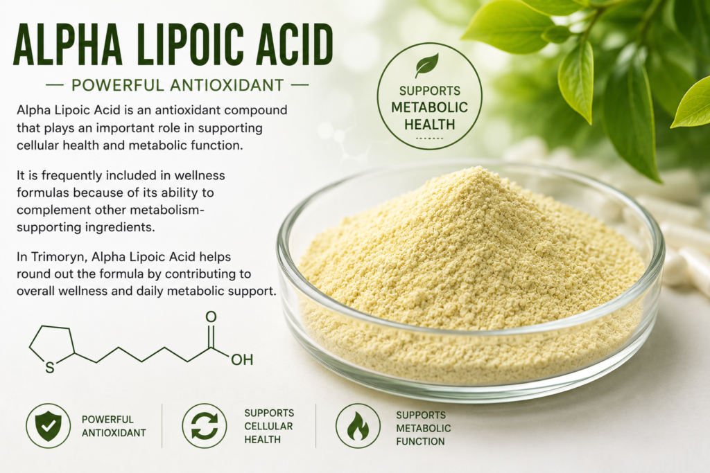 Alpha Lipoic Acid, antioxidant found in Trimoryn's formula